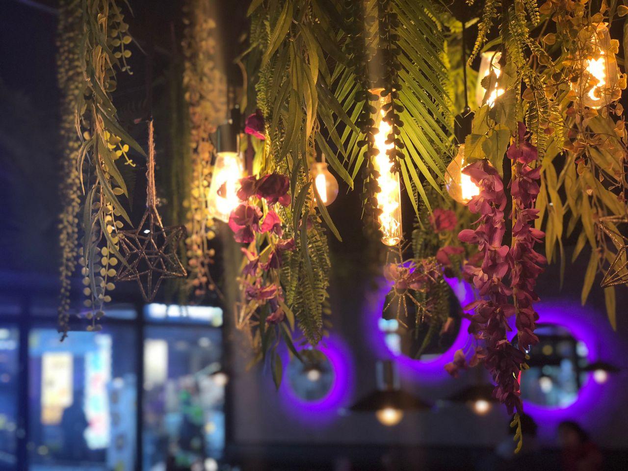 今天，喝一杯酒吧酒吧的吊燈與植物裝飾，營造出獨特的氛圍。